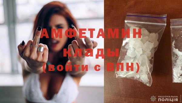шишки Покров