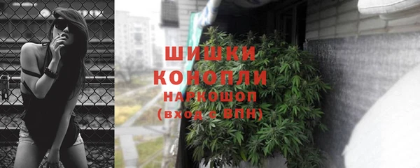 шишки Покров