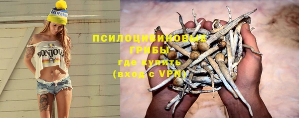 шишки Покров